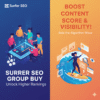 Surfer SEO Group Buy